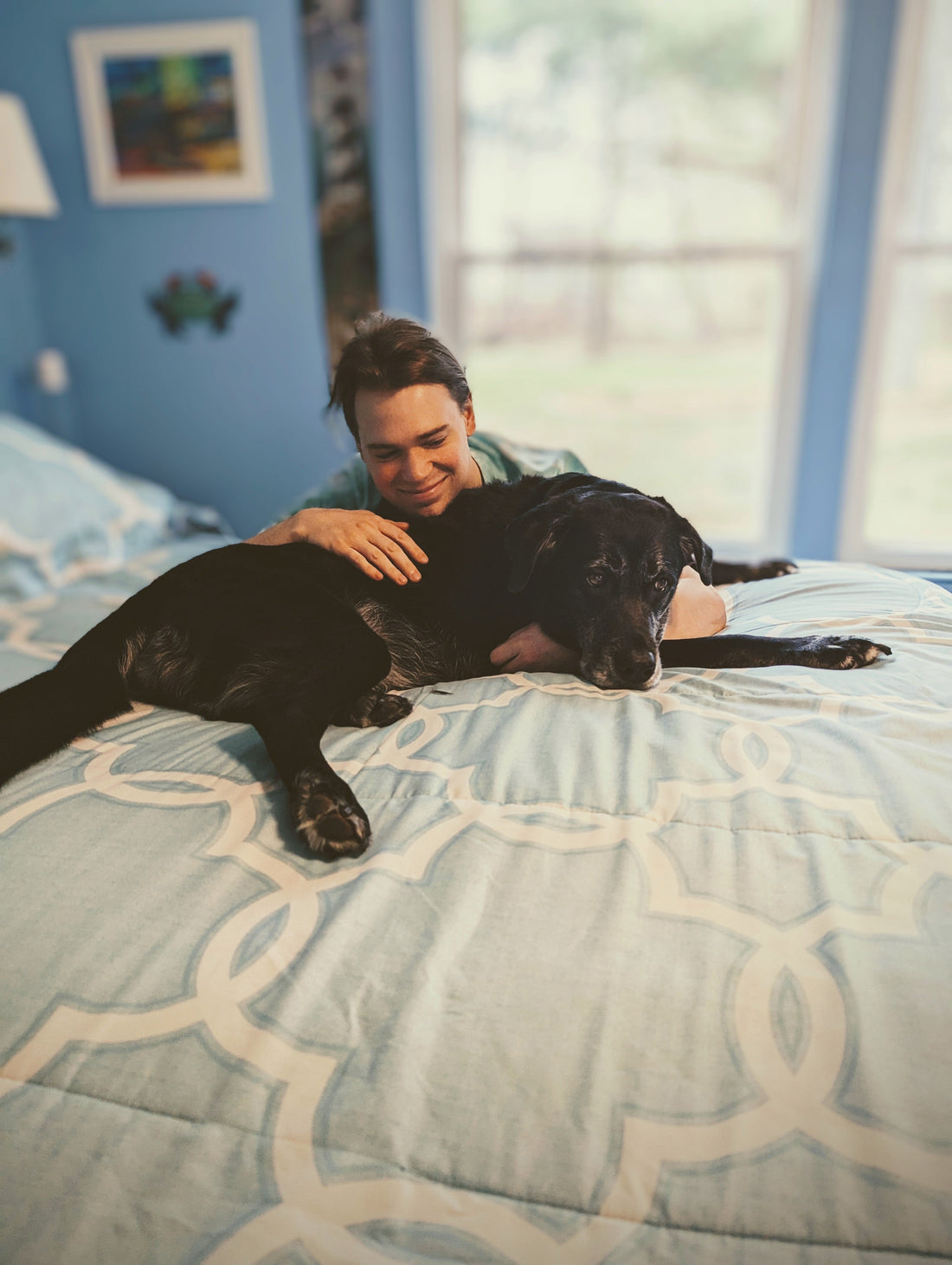 How to Stop Your Dog From Stealing Your Side of the Bed